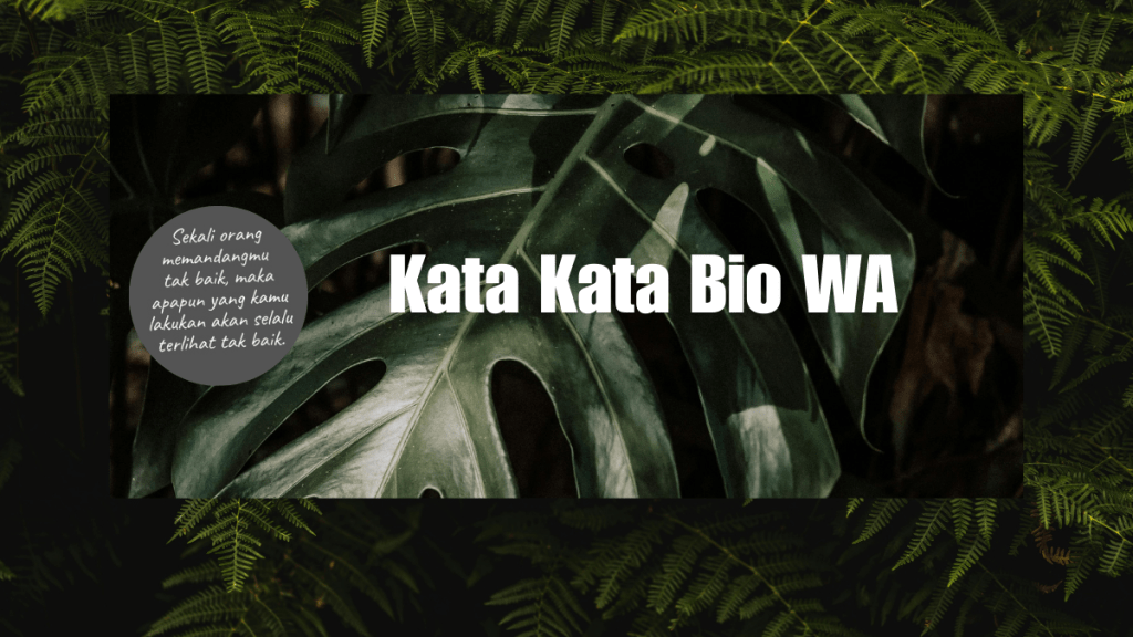 Kata Kata Bio WA Aestetic dan Keren